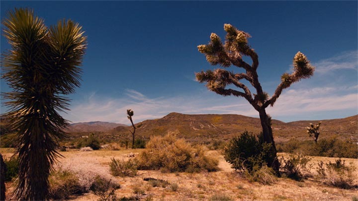 Case Study Tiffany 1920x1080 Loop06 Still